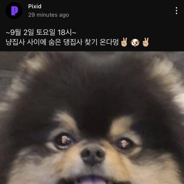 Taehyung will be on Pixid next Sat, 2 Sep at 6pm KST - 260823