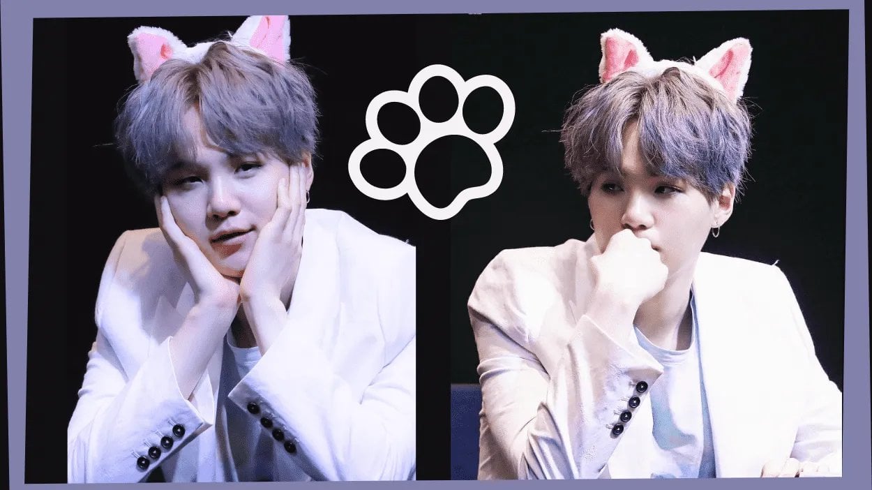 Which Kitty Yoongi are you?? (An adorable quiz)