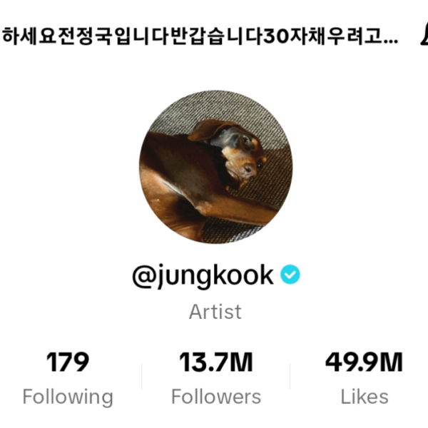 231007 Jung Kook changed his TikTok profile photo and description