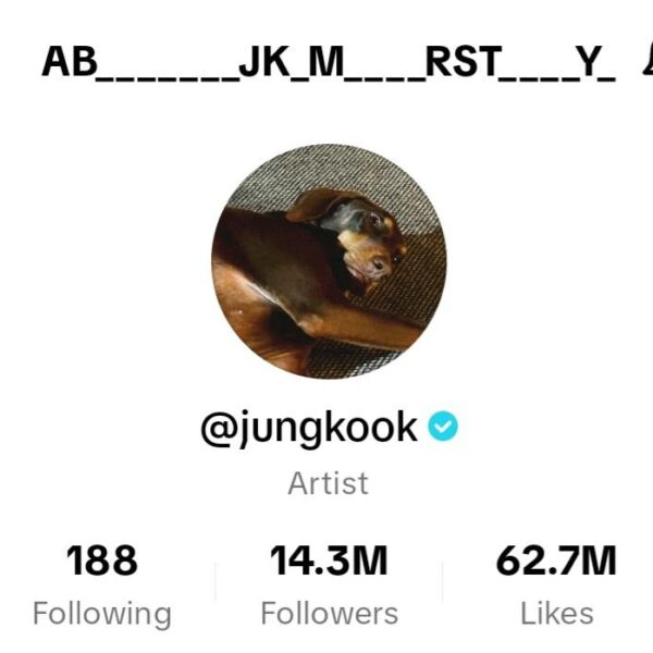 231018 Jung Kook changed his TikTok display name again