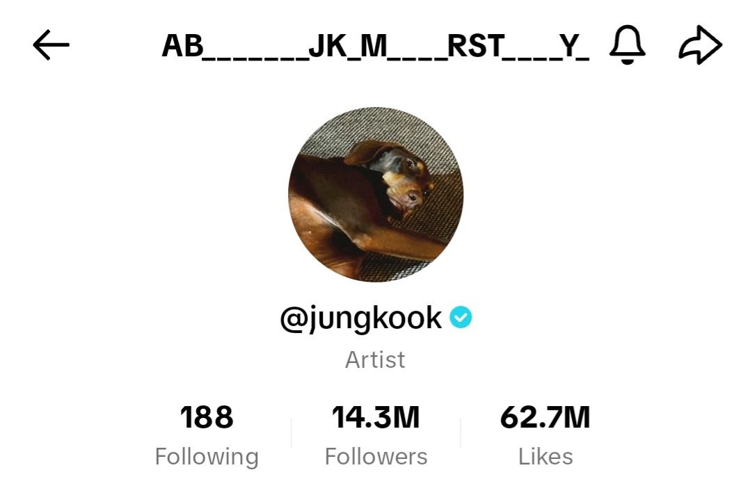 231018 Jung Kook changed his TikTok display name again