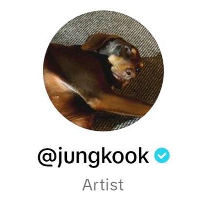 Jungkook changed his TikTok profile photo to a picture of Bam and description - 081023