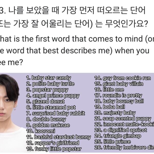 Which would you choose to describe Jungkook?