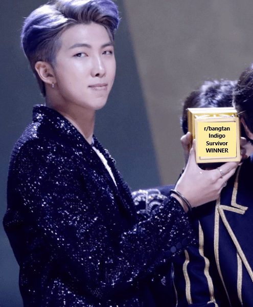 r/bangtan Album Survivor - RM's Indigo WINNER