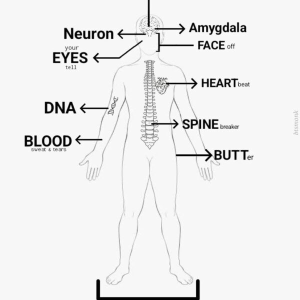 Love the anatomy lesson