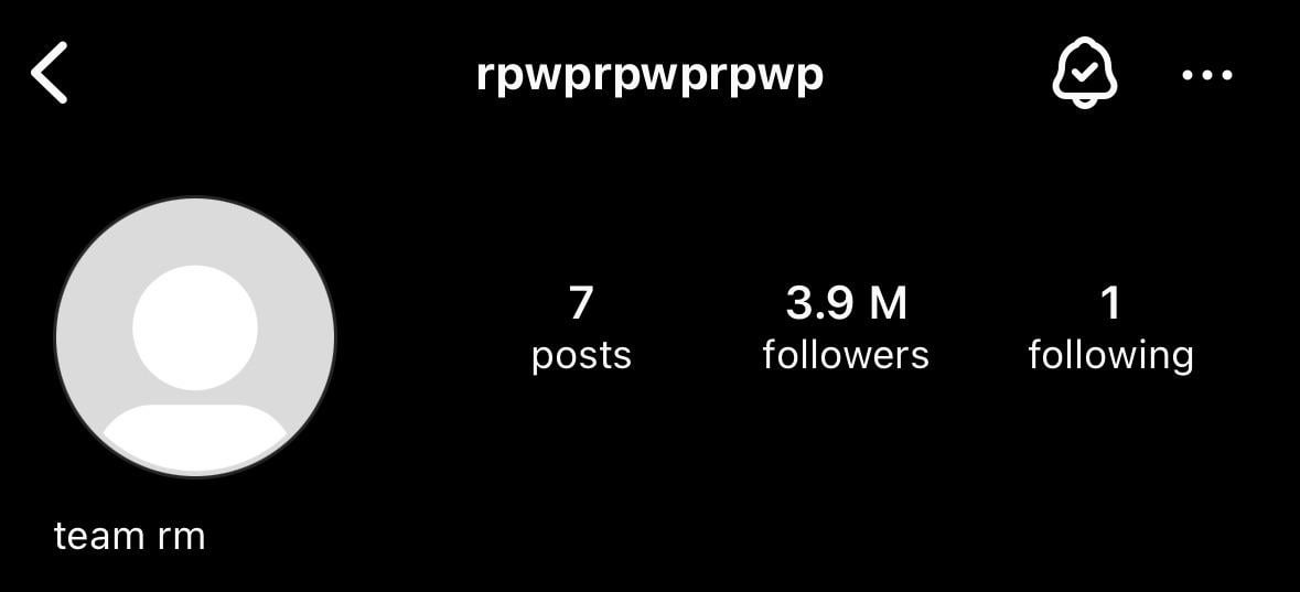 The rpwprpwprpwp Instagram account’s bio has “team rm” added to it - 230424