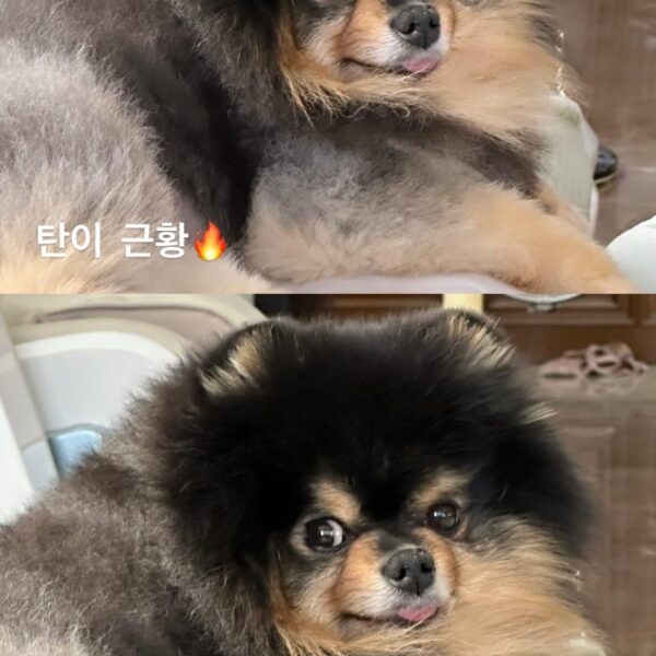 Taehyung IG Story (2) (feat. Yeontan!!!) 190524